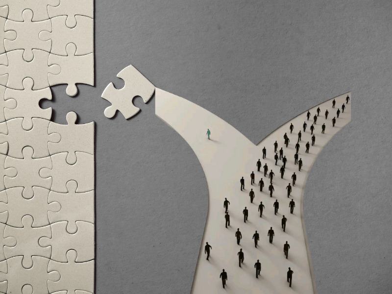 Expert Witness Services: When a Financial Auditor Goes to Court