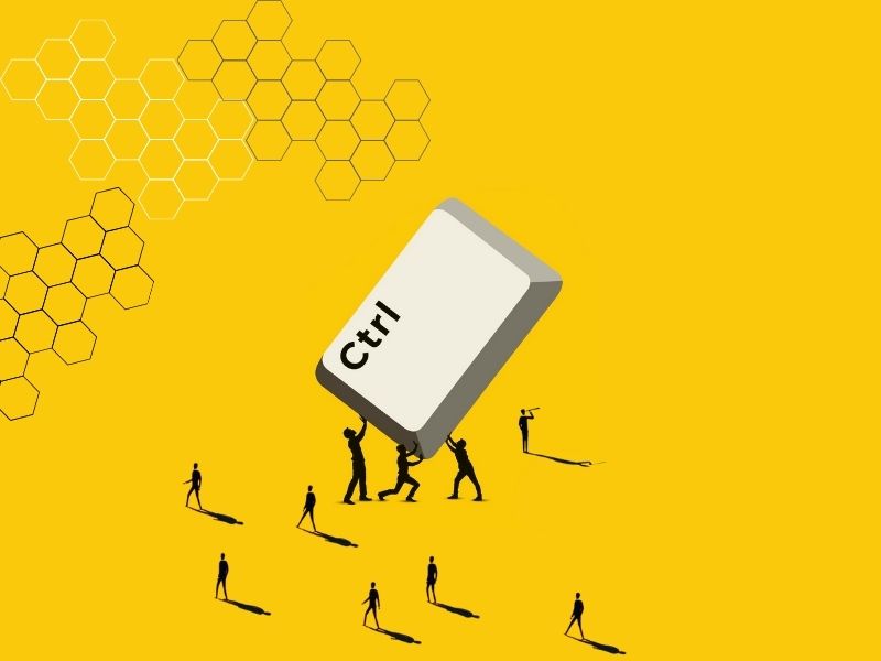 Shareholder Governance